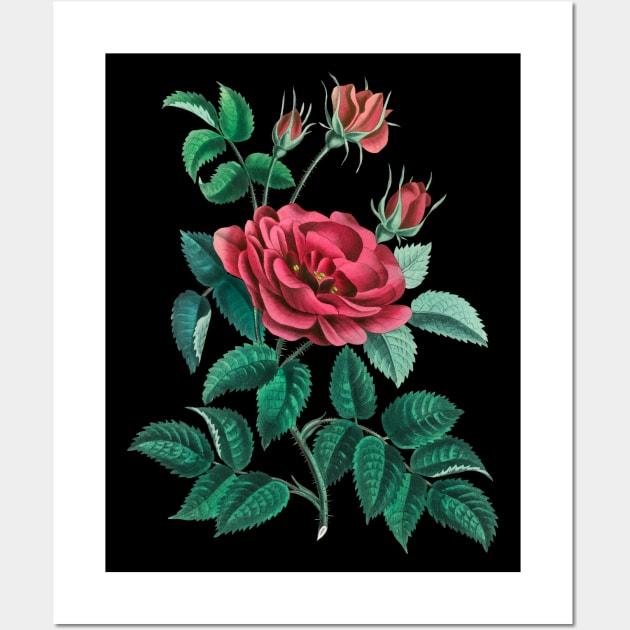 Red Rose Wall Art by CatyArte